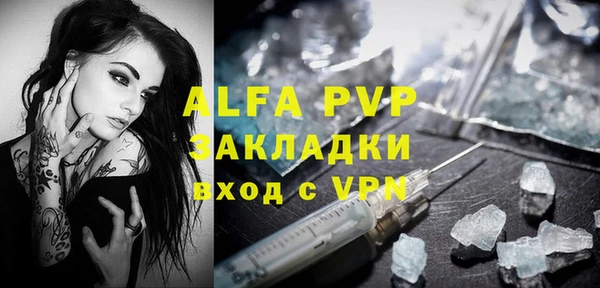 сатива Володарск