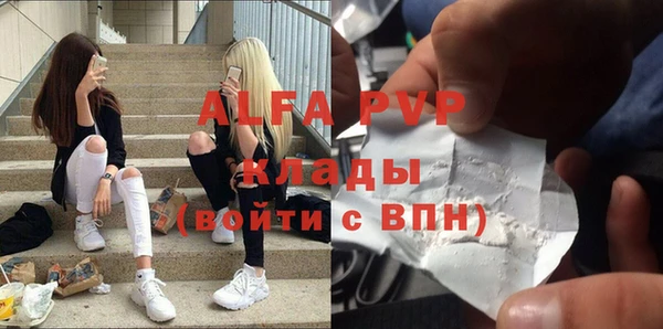 сатива Володарск