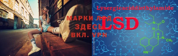 сатива Володарск