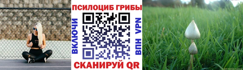 Псилоцибиновые грибы MAGIC MUSHROOMS  Купить где  Волгореченск 